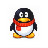 企鹅通讯下载 1.0官方版