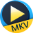 Aiseesoft Free MKV Player(MKV播放器) v6.6.10官方版
