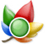 枫叶浏览器-枫叶浏览器下载 v2.0.4.14