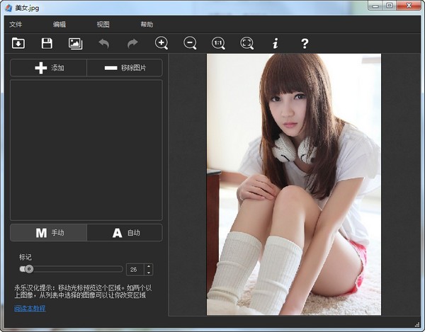 多视点去水印工具(Teorex MultiView Inpaint)