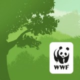 WWF森林探索者