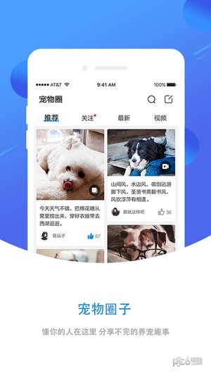 犬易app下载