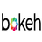 Bokeh(互动可视化库)下载 v2.3.2官方版