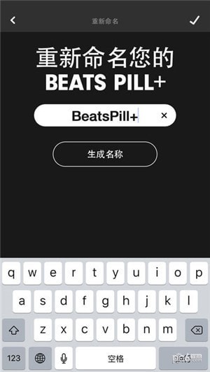 Beats Pill+