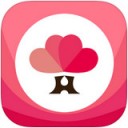 婚语app