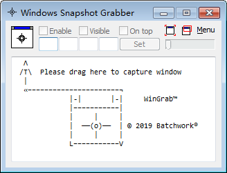 Windows Snapshot Grabber(屏幕截图软件)