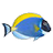 Sim AQUARIUM 2(鱼缸屏保软件)下载 v2.6d官方版
