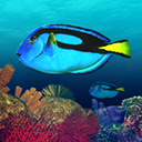 深海潜水模拟Mac版